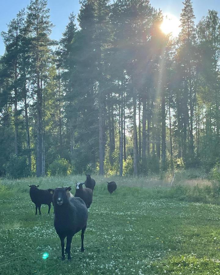 Annexet Pa Rosfors Bruksherrgard Sjulsmark Exterior photo
